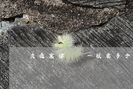 交通案律師費一般要多少錢