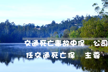 交通死亡事故中保險公司的賠償責(zé)任(交通死亡保險主要責(zé)任賠償標(biāo)準(zhǔn))