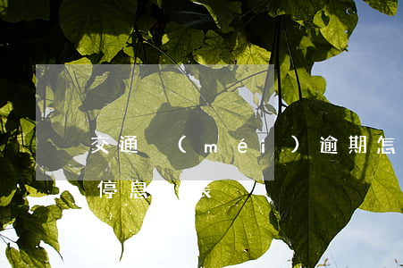 交通沒(méi)逾期怎么協(xié)商停息掛賬
