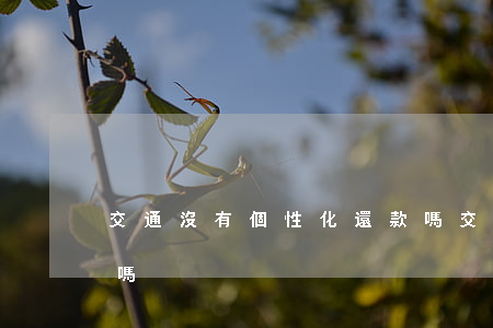 交通沒有個性化還款嗎(交通沒有個性化還款嗎)