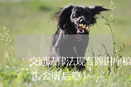 交通法律法规专题讲座稿(交通安全法制报告会听后感)
