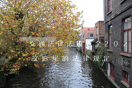 交通法律法规大全2020追尾(道路交通事故追尾的法律规定)