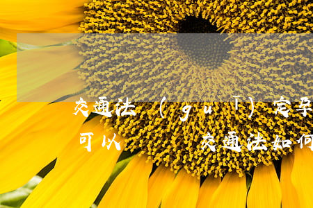 交通法規(guī)定孕婦可以開車嗎(孕婦可以開車嗎?交通法如何規(guī)定的)