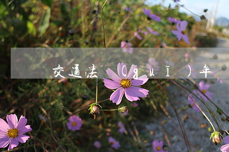 交通法規(guī)年審逾期 年檢逾期 上路