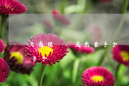 交通理賠開庭需要多少錢(交通理賠開庭需要多少錢)
