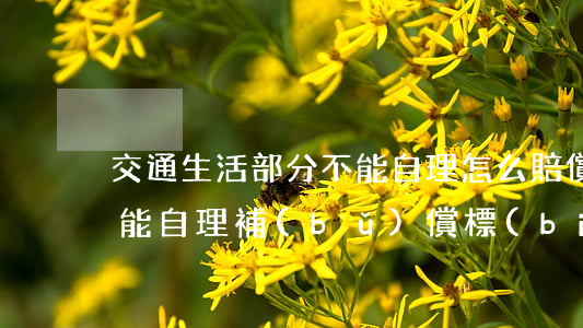 交通生活部分不能自理怎么賠償(生活完全不能自理補(bǔ)償標(biāo)準(zhǔn))
