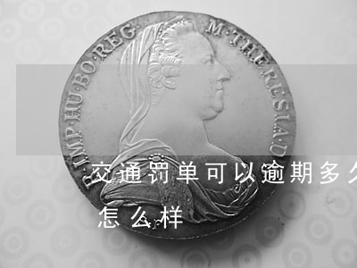 交通罚单可以逾期多久不交(交通罚单没交会怎么样)