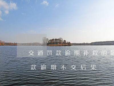 交通罚款逾期补救的最好方法中国-交通罚款逾期不交后果
