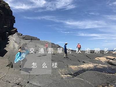 交通罰單可以逾期多久不交(交通罰單沒交會怎么樣)