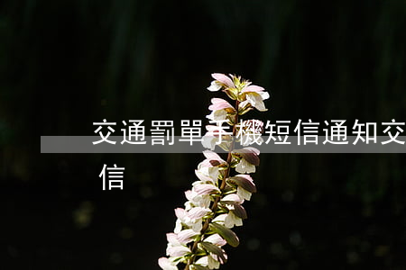交通罰單手機短信通知（交通罰單逾期催繳短信）