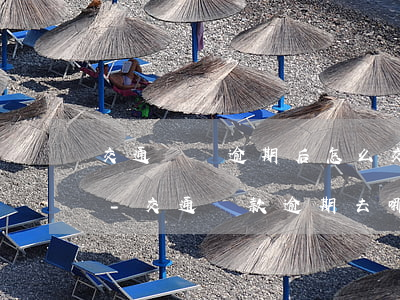 交通罰單逾期后怎么交罰款中國(guó)-交通罰款逾期去哪里交