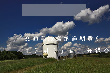 交通罰款繳納逾期費(fèi)用會(huì)計(jì)分錄(交通罰款繳納逾期費(fèi)用會(huì)計(jì)分錄怎么做)