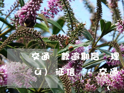 交通罰款逾期后處理會(huì)恢復(fù)征信嗎-交通罰款逾期后處理會(huì)恢復(fù)征信嗎知乎