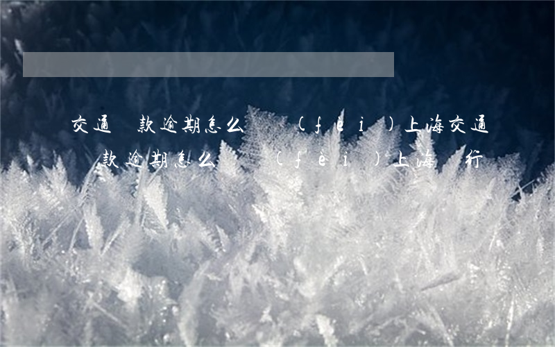 交通罰款逾期怎么繳費(fèi)上海(交通罰款逾期怎么繳費(fèi)上海銀行)
