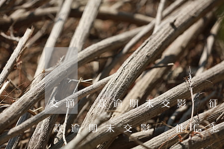 交通罰款逾期未交影響征信怎么辦-交通罰款逾期未交影響征信怎么辦呢