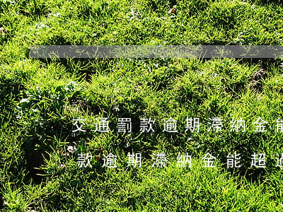 交通罰款逾期滯納金能超過本金嗎-交通罰款逾期滯納金能超過本金嗎怎么算