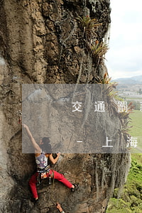 交通罰款逾期補(bǔ)救的最好方法上海-上海交通罰款不交會怎么樣