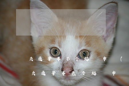 交通肇事不予起訴申請(qǐng)書范本(交通肇事免于起訴申請(qǐng)書)