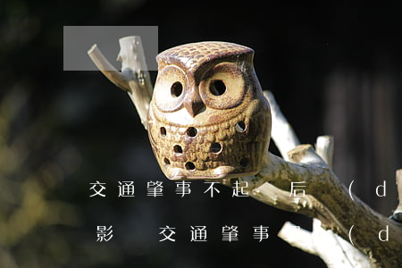 交通肇事不起訴后對(duì)工作生活的影響(交通肇事罪對(duì)以后工作有影響嗎)