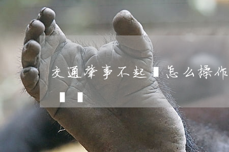 交通肇事不起訴怎么操作(交通肇事不起訴很難嗎)