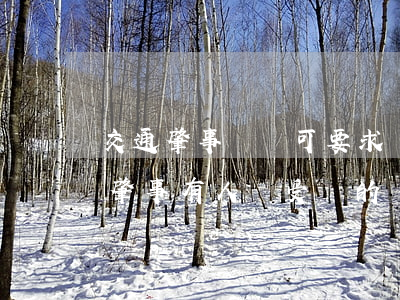 交通肇事傷員可要求幾人護(hù)理(交通肇事有人員受傷的處理程序)