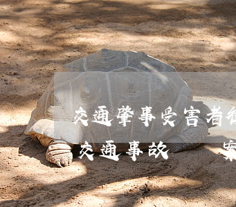 交通肇事受害者律師訴訟費(fèi)多少(交通事故賠償案律師收費(fèi)標(biāo)準(zhǔn)是多少)