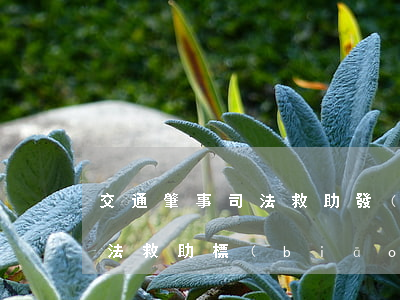 交通肇事司法救助發(fā)放(交通事故司法救助標(biāo)準(zhǔn))