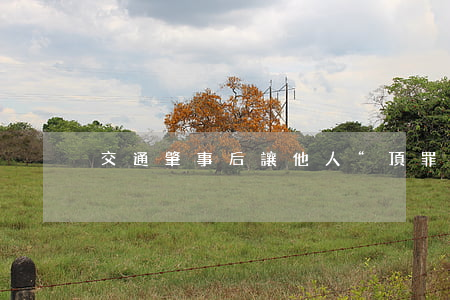 交通肇事后讓他人“頂罪”的責任認定