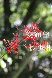 交通肇事幾根肋骨算重傷(交通事故肋骨骨折多少根)