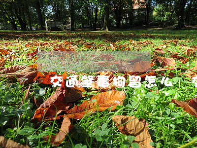 交通肇事拘留怎么辦(交通肇事逃逸拘留嗎)