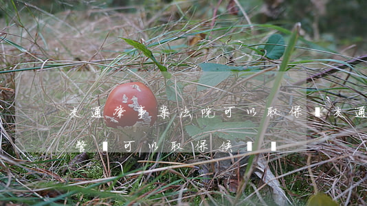 交通肇事案法院可以取保嗎(交通肇事罪在交警隊可以取保候審嗎)