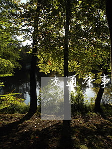交通肇事民政有救助嗎