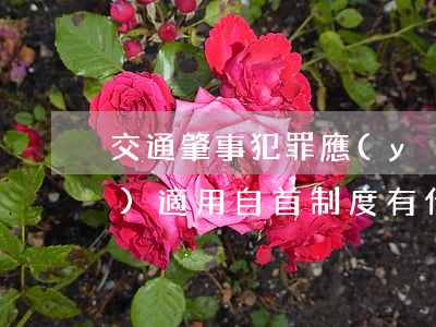 交通肇事犯罪應(yīng)當(dāng)適用自首制度有什么理由