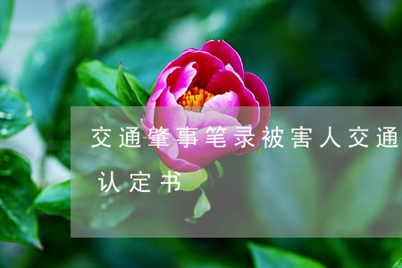 交通肇事笔录被害人(交通事故笔录后多久出认定书)