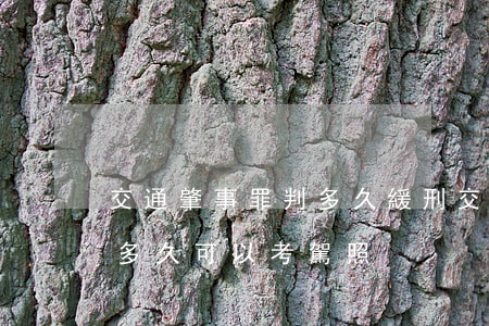 交通肇事罪判多久緩刑(交通肇事罪被判緩刑多久可以考駕照)
