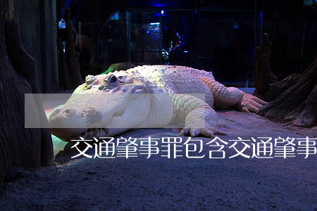 交通肇事罪包含交通肇事逃逸嗎