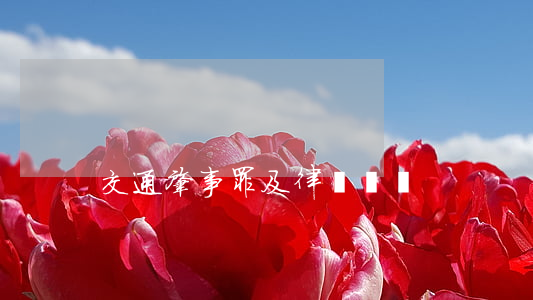 交通肇事罪及律師辯護