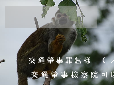 交通肇事罪怎樣爭(zhēng)取不起訴(交通肇事檢察院可以不起訴處理嗎?)
