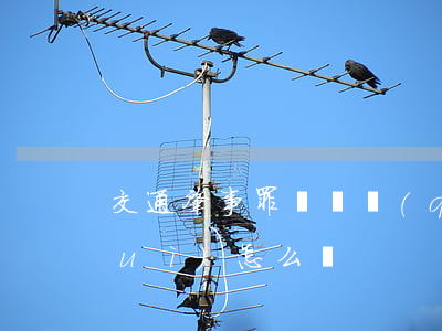 交通肇事罪沒錢請(qǐng)律師會(huì)怎么樣