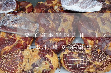 交通肇事罪的法律責(zé)任是什么(交通肇事罪和交通肇事行為)