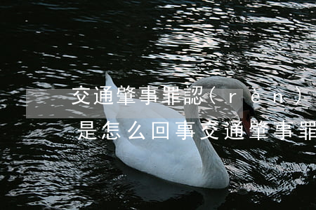 交通肇事罪認(rèn)罪認(rèn)罰是怎么回事(交通肇事罪認(rèn)罪認(rèn)罰的處理)