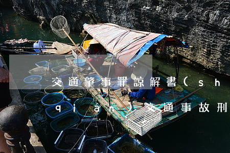 交通肇事罪諒解書(shū)一般多少錢(qián)(交通事故刑事責(zé)任諒解書(shū)一般多少錢(qián))