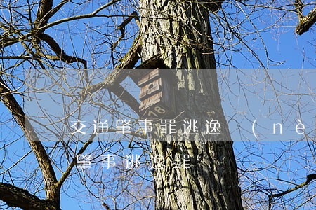 交通肇事罪逃逸內(nèi)涵(什么是交通肇事逃逸罪?)