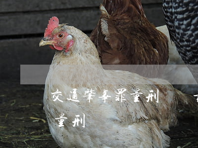交通肇事罪量刑標準(最高院關于交通肇事罪量刑標準)