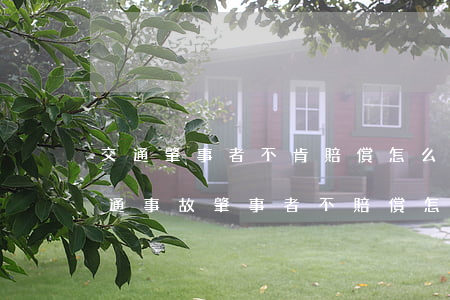 交通肇事者不肯賠償怎么辦(發(fā)生交通事故肇事者不賠償怎么辦)