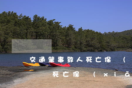 交通肇事致人死亡保險(xiǎn)外賠償(車禍死亡保險(xiǎn)賠償個人還需要賠償嗎)