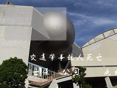交通肇事致人死亡賠償保險公司(肇事致人死亡保險公司賠償流程)