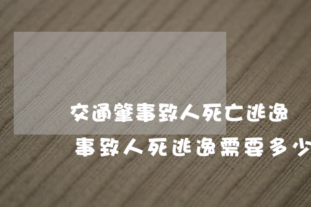 交通肇事致人死亡逃逸請律師要多少(交通肇事致人死逃逸需要多少年)