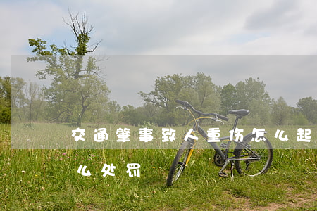交通肇事致人重伤怎么起诉(肇事致人重伤怎么处罚)