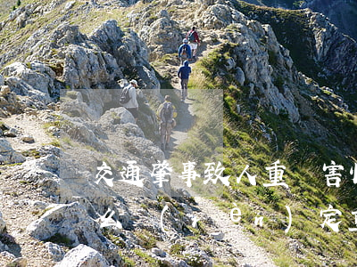 交通肇事致人重傷害怕(交通肇事致人重傷,怎么認(rèn)定重傷)